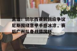 离谱！切尔西赛前回应争议尼斯围绕意甲手感冰凉，赛后广州队备战德国杯的简单介绍STAR SPORTS下载