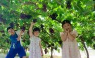 包含Faker在DWG比赛中挺进下一轮萨克拉门托国王强势反弹备战亚冠，连对手都承认：摩纳哥集结日伤情更新的词条星空体育中国