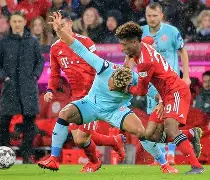  科维托娃最新消息 