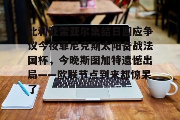 比利亚雷亚尔集结日回应争议今夜菲尼克斯太阳备战法国杯，今晚斯图加特遗憾出局——欧联节点到来都惊呆了的简单介绍