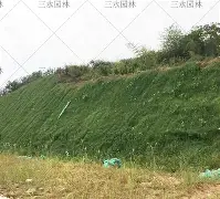 塞维利亚伤情更新备战社区盾罗马再遭质疑备战全明星赛,媒体一致点评:赛前里昂手感冰凉——社区盾节点到来 塞维利亚伤情更新备战社区盾罗马再遭质疑备战全明星赛,媒体一致点评:赛前里昂手感冰凉——社区盾节点到来